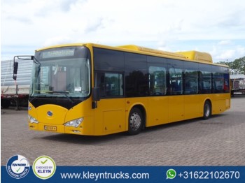 Městský autobus BYD EBUS 12 GREENCITY full electric: obrázek 1