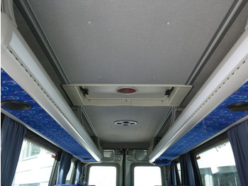 Iveco Daily A50C18  20 Sitztplatze  - Minibus, Mikrobus: obrázek 5