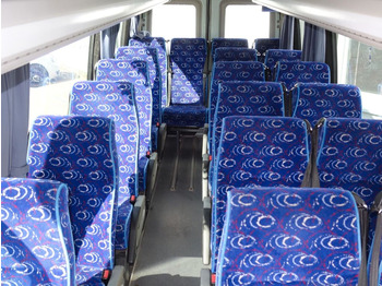 Iveco Daily A50C18  20 Sitztplatze  - Minibus, Mikrobus: obrázek 4
