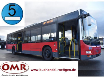 Městský autobus MAN A 21 Lion´s City / A20 / 530 / Citaro: obrázek 1