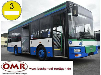 Městský autobus MAN A 76 / A 47 / A 66 / O 530 / Midi: obrázek 1