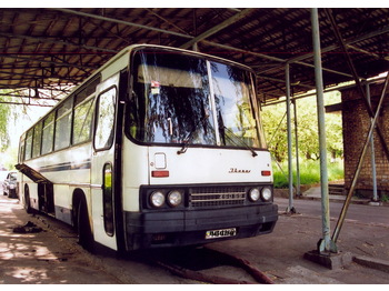 IKARUS 250.59 - Turistický autobus