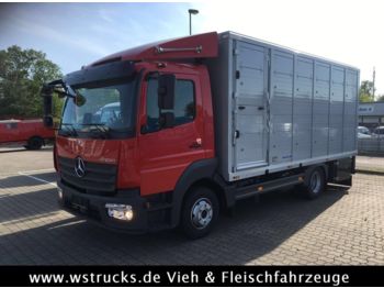 Dodávka skřín pro dopravu živočichů Mercedes-Benz 821L" Neu" WST Edition" Menke Einstock Vollalu: obrázek 1