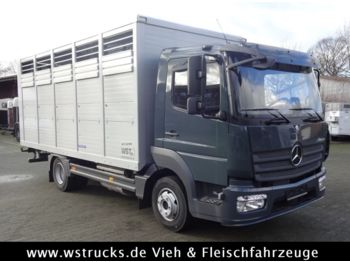 Přepravník zvířat pro dopravu živočichů Mercedes-Benz 821L" Neu" WST Edition" Menke Einstock Vollalu: obrázek 1
