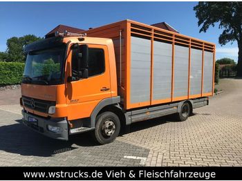 Přepravník zvířat pro dopravu živočichů Mercedes-Benz 822 L  mit Eckstein Einstock: obrázek 1