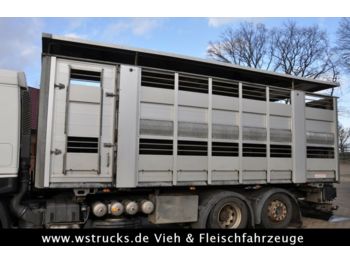 Přepravník zvířat Scheuwimmer BDF 2 Stock Aufbau Hubdach: obrázek 1
