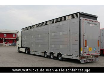 Návěs na přepravu zvířat Pezzaioli SBA31-SR  3 Stock  Vermietung: obrázek 1