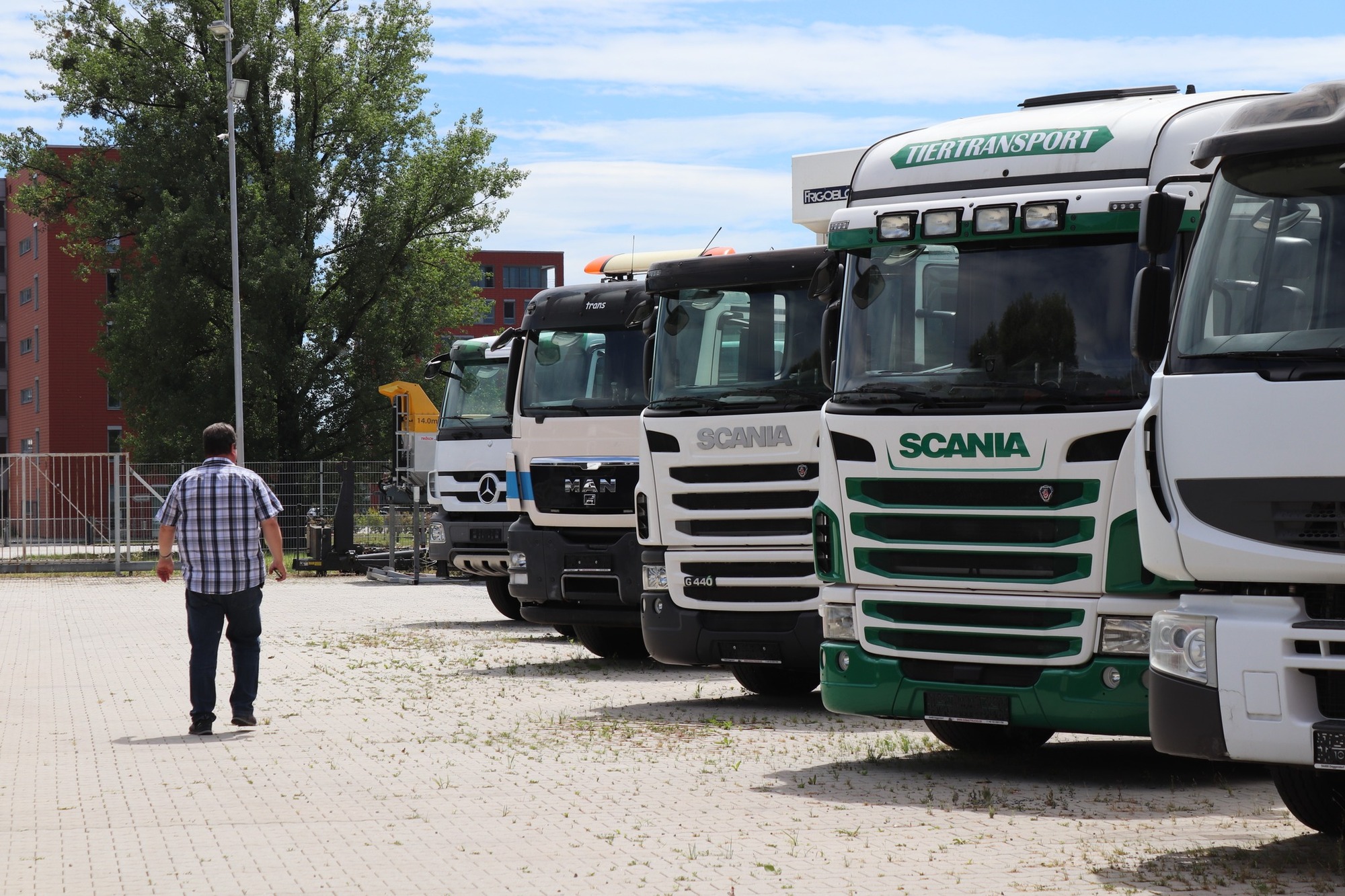 Donau Trucks GmbH undefined: obrázek 3